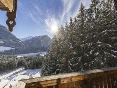 Holiday park Chalet in Neukirchen nahe Wildkogel Piste - Outdoor photo 3