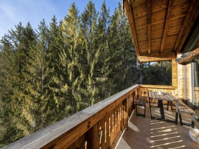 Holiday park Chalet in Neukirchen nahe Wildkogel Piste - Outdoor photo 11