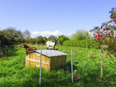 Holiday house Stone House in Plouezec near Goelo Coast - Outdoor photo 3