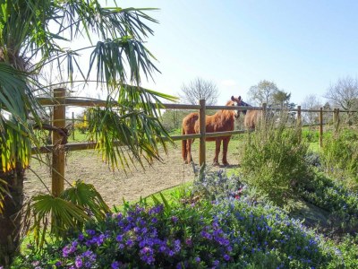 Holiday house Stone House in Plouezec near Goelo Coast - Outdoor photo 5