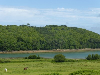 Holiday house Stone House in Plouezec near Goelo Coast - Environment photo 27