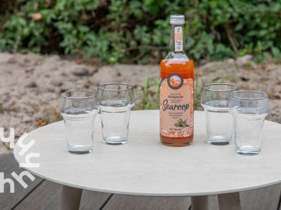 Holiday house Wolphaartsdijk - ZE1545 - Environment photo 33