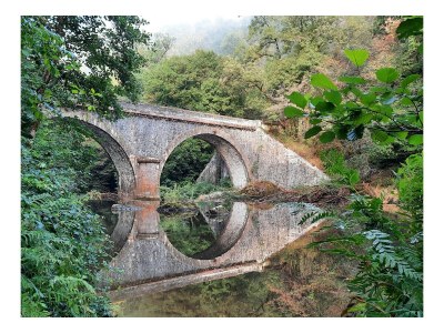 Holiday house La Maison de Maître - Environment photo 27