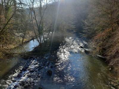 Holiday house La Maison de Maître - Environment photo 28