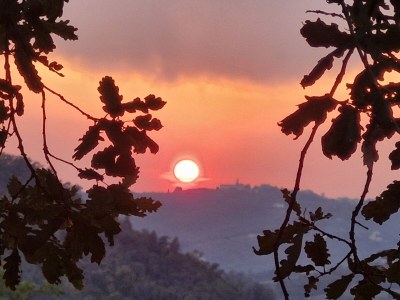 Bungalow Agriturismo cisogna - Environment photo 13