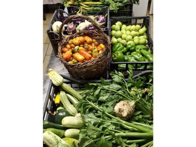 Bungalow Agriturismo cisogna - Environment photo 14