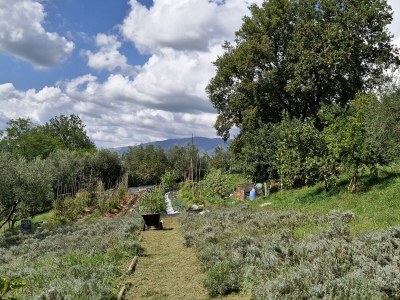 Bungalow Agriturismo cisogna - Environment photo 16