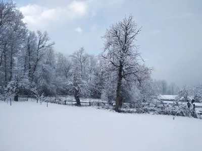 Holiday house Nature Ski Lodge Sterwen - Environment photo 10