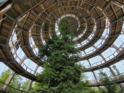 Holiday apartment Christa - Environment photo 27