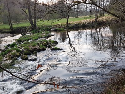 Holiday apartment Christa - Environment photo 32