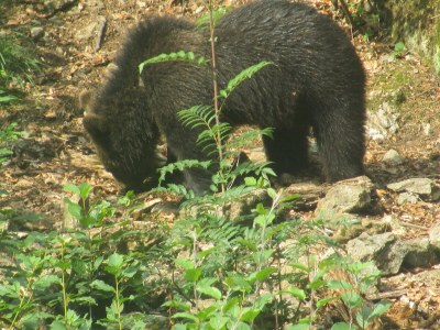 Holiday apartment Christa - Environment photo 35