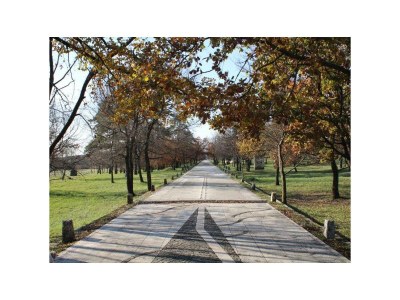 Holiday house No title - Environment photo 14