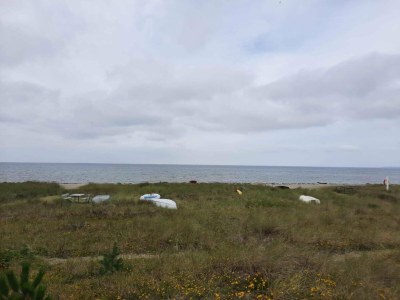 Holiday house 4 Sterne Ferienhaus in Store Fuglede - Outdoor photo 7