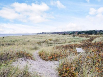 Holiday house 4 Sterne Ferienhaus in Store Fuglede - Outdoor photo 16