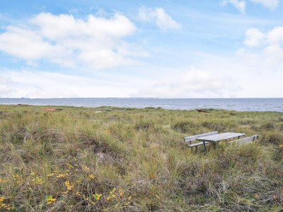 Holiday house 4 Sterne Ferienhaus in Store Fuglede - Outdoor photo 29