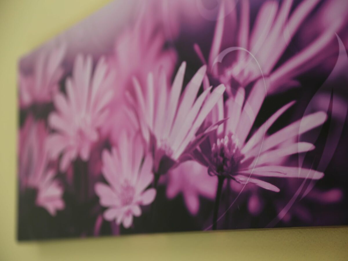 Apartment Ferienwohnung in Freital, Dresden - Features photo 3