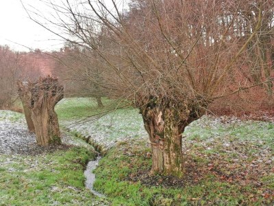 Apartment Ferienwohnung in Freital, Dresden - Environment photo 13