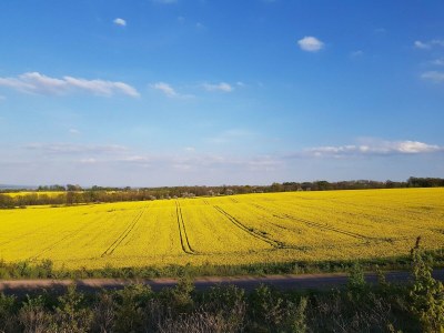 Apartment Ferienwohnung in Freital, Dresden - Environment photo 15