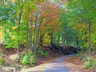 Apartment Ferienwohnung in Freital, Dresden - Environment photo 16