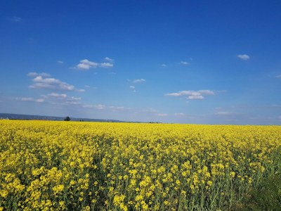 Apartment Ferienwohnung in Freital, Dresden - Environment photo 17