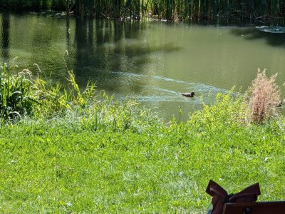 Apartment Ferienwohnung in Freital, Dresden - Environment photo 18