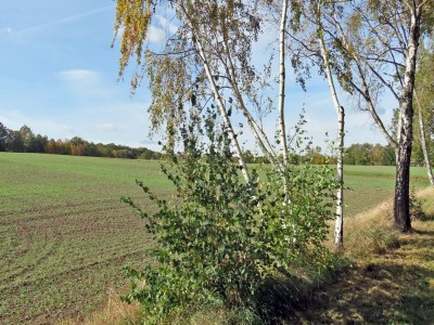 Apartment Ferienwohnung in Freital, Dresden - Environment photo 20
