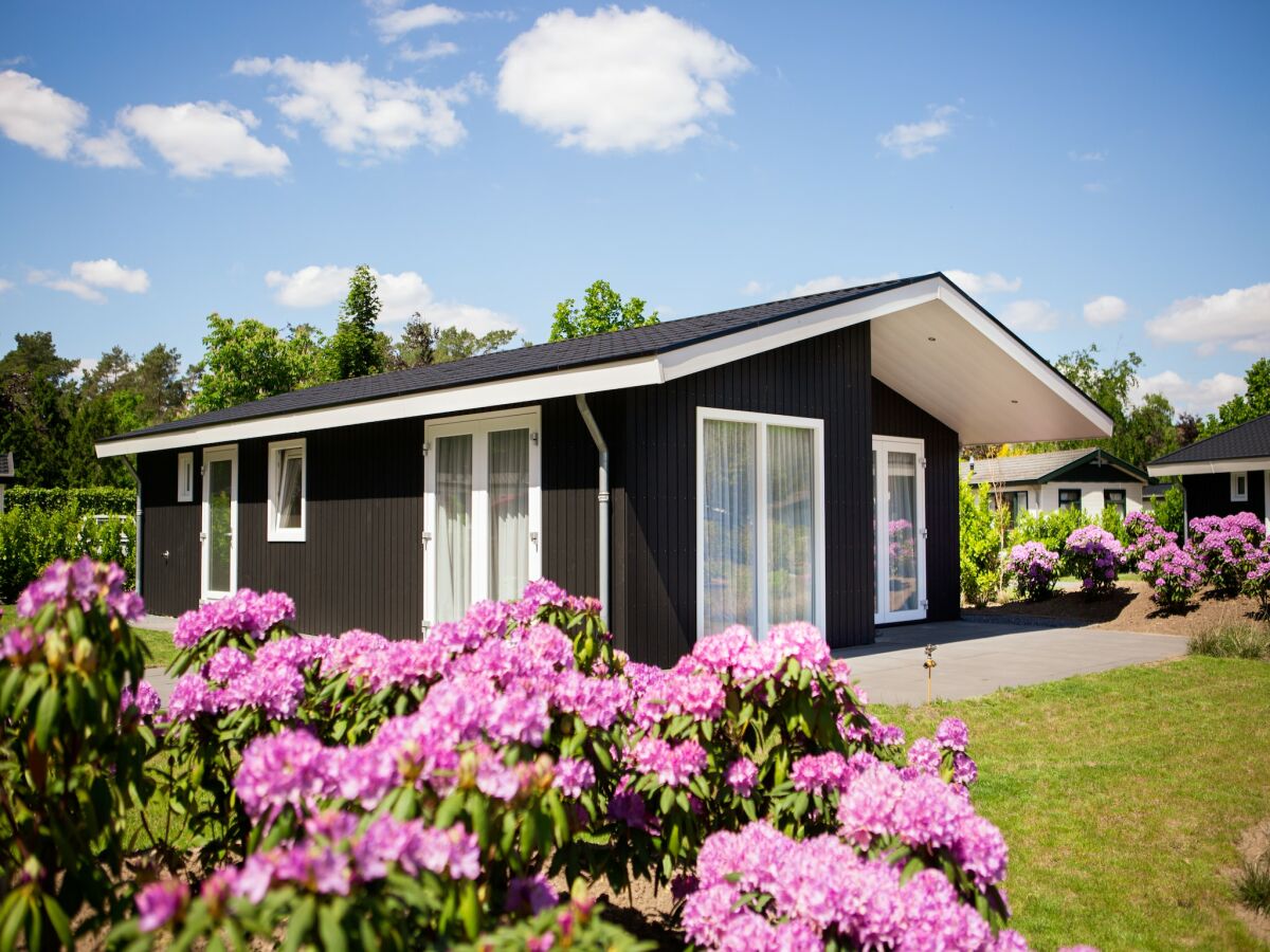 Holiday park Chalet in den Niederlanden am Teich