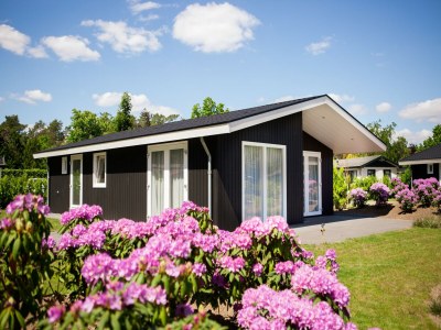 Holiday park Chalet in den Niederlanden am Teich - Holiday park