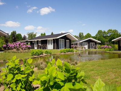 Holiday park Chalet in den Niederlanden am Teich - Outdoor photo 5