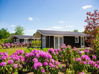 Holiday park Chalet in den Niederlanden am Teich - Outdoor photo 6