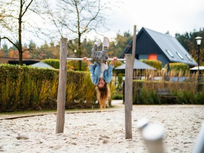 Holiday park Chalet in den Niederlanden am Teich - Environment photo 19