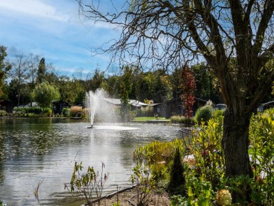 Holiday park Chalet in den Niederlanden am Teich - Environment photo 25