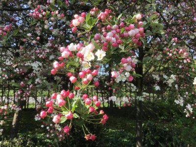 Holiday park Apartment am Teich für 4 Gäste Von Belvilla - Environment photo 23