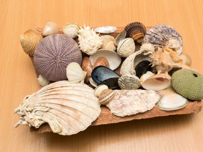 Apartment Studio flat with terrace Dubrovnik AS-8593-a - Outdoor photo 17