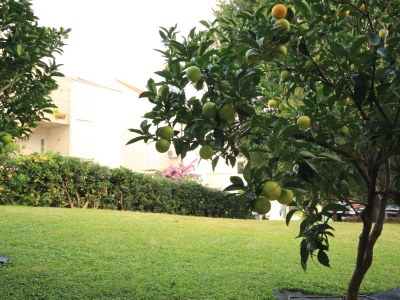 Apartment Studio flat with terrace Dubrovnik AS-8593-a - Outdoor photo 26