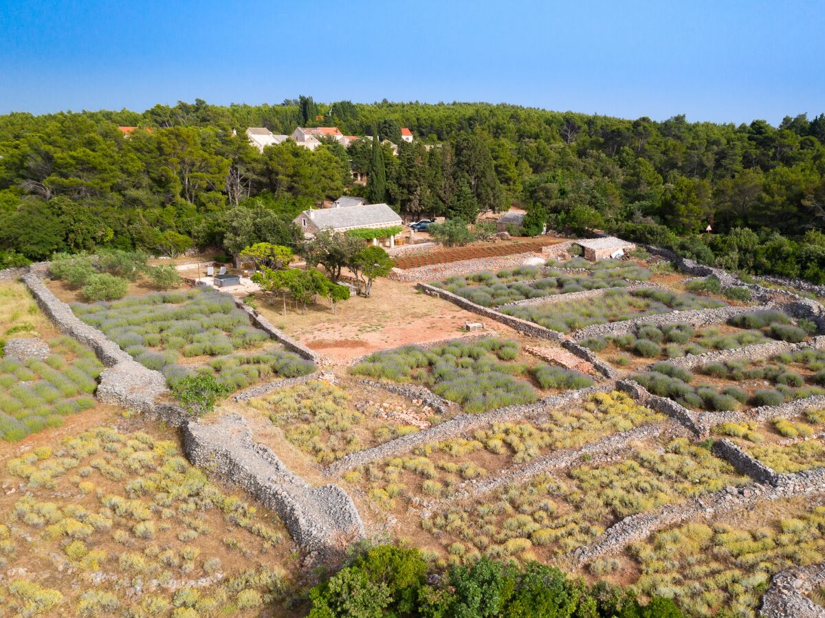 Holiday house Four-bedroom house with terrace and sea view Humac, Hvar K-8805