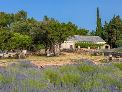Holiday house Four-bedroom house with terrace and sea view Humac, Hvar K-8805 - Outdoor photo 4