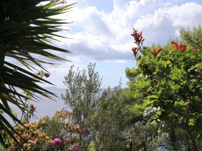 Apartment Three bedroom apartment near beach Gršćica, Korčula A-9228-a - Outdoor photo 34