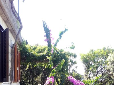 Holiday house One bedroom house with terrace and sea view Cove Rasohatica, Korčula K-9233 - Outdoor photo 11