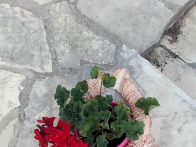 Holiday house One bedroom house with terrace and sea view Cove Rasohatica, Korčula K-9233 - Outdoor photo 12