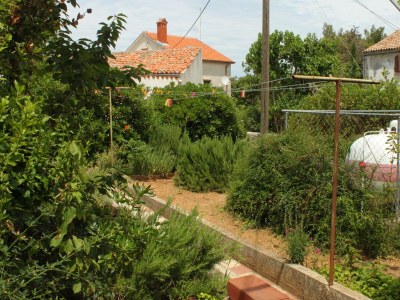 Apartment One bedroom apartment with terrace and sea view Nerezine, Lošinj A-3479-a - Outdoor photo 6