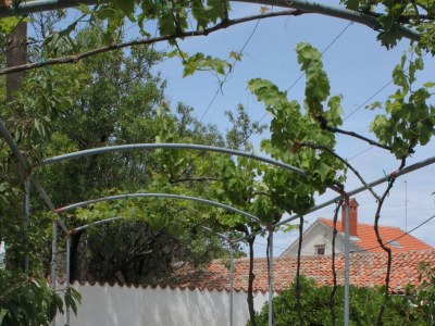 Apartment One bedroom apartment with terrace and sea view Nerezine, Lošinj A-3479-a - Outdoor photo 7