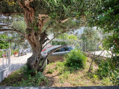 Apartment Two bedroom apartment with terrace Rogoznica A-4313-a - Outdoor photo 11