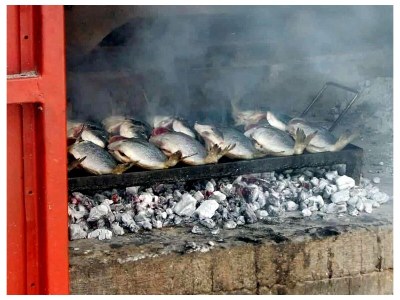 Apartment One bedroom apartment with terrace Rogoznica A-4313-d - Outdoor photo 12