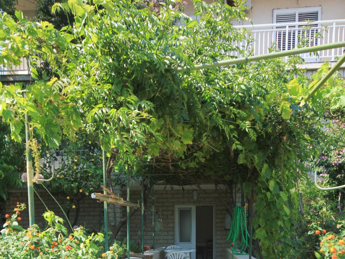 Apartment Two bedroom apartment near beach Viganj, Pelješac A-633-c - Outdoor photo 5