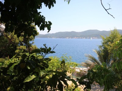 Apartment Two bedroom apartment near beach Viganj, Pelješac A-633-c in Kućište - Apartment