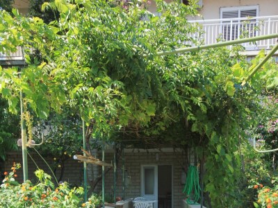 Apartment Two bedroom apartment near beach Viganj, Pelješac A-633-c - Outdoor photo 5