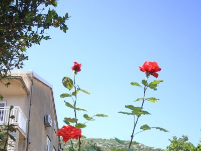 Apartment Two bedroom apartment near beach Viganj, Pelješac A-633-c - Outdoor photo 6