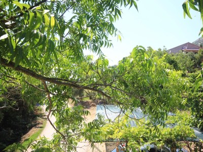 Apartment Two bedroom apartment near beach Viganj, Pelješac A-633-c - Outdoor photo 22