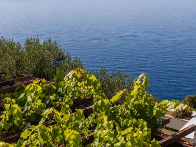 Apartment Two bedroom apartment with terrace and sea view Pisak, Omiš A-652-a - Outdoor photo 32